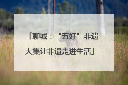 聊城：“五好”非遗大集让非遗走进生活