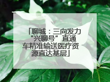 聊城：三向发力 “兴聊号”直通车精准输送医疗资源直达基层