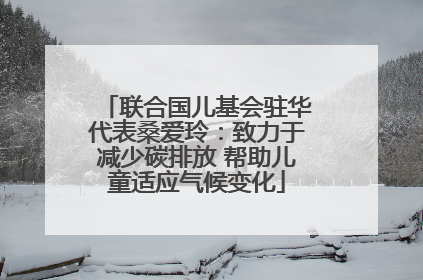 联合国儿基会驻华代表桑爱玲：致力于减少碳排放 帮助儿童适应气候变化