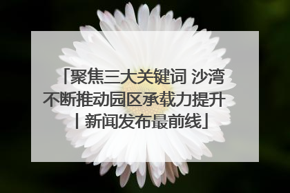 聚焦三大关键词 沙湾不断推动园区承载力提升丨新闻发布最前线