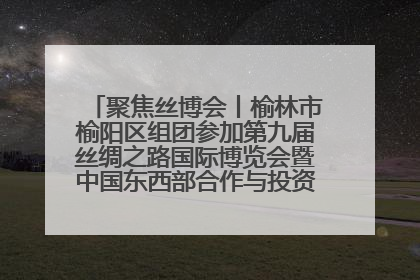 聚焦丝博会丨榆林市榆阳区组团参加第九届丝绸之路国际博览会暨中国东西部合作与投资贸易洽谈会