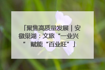 聚焦高质量发展｜安徽巢湖：文旅“一业兴” 赋能“百业旺”