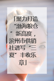 聚力打造“渤海粮仓”新高度，滨州市供销社谱写“三夏”丰收乐章