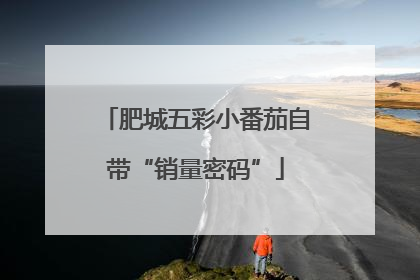 肥城五彩小番茄自带“销量密码”