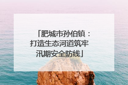 肥城市孙伯镇：打造生态河道筑牢汛期安全防线
