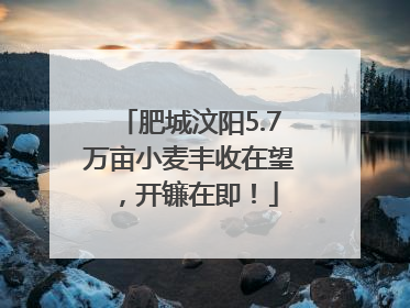 肥城汶阳5.7万亩小麦丰收在望，开镰在即！