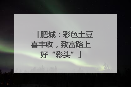 肥城：彩色土豆喜丰收，致富路上好“彩头”