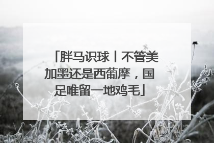 胖马识球丨不管美加墨还是西葡摩，国足唯留一地鸡毛