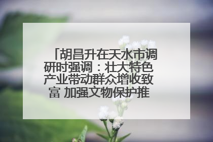 胡昌升在天水市调研时强调：壮大特色产业带动群众增收致富 加强文物保护推动文化创新发展