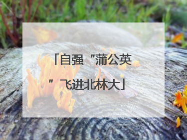 自强“蒲公英”飞进北林大