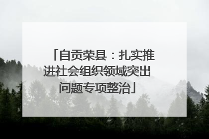 自贡荣县：扎实推进社会组织领域突出问题专项整治