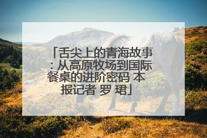 舌尖上的青海故事：从高原牧场到国际餐桌的进阶密码 本报记者 罗 珺