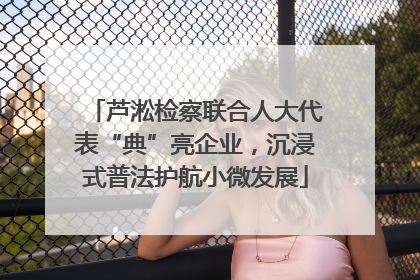 芦淞检察联合人大代表“典”亮企业，沉浸式普法护航小微发展