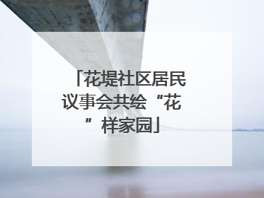 花堤社区居民议事会共绘“花”样家园