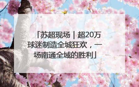 苏超现场｜超20万球迷制造全城狂欢，一场南通全域的胜利