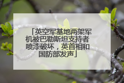 英空军基地两架军机被巴勒斯坦支持者喷漆破坏，英首相和国防部发声