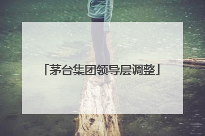 茅台集团领导层调整