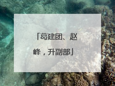 葛建团、赵峰，升副部