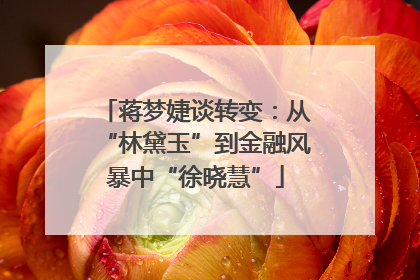 蒋梦婕谈转变：从“林黛玉”到金融风暴中“徐晓慧”