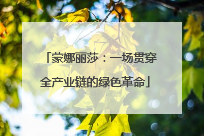 蒙娜丽莎：一场贯穿全产业链的绿色革命