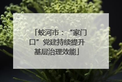 蛟河市：“家门口”党建持续提升基层治理效能