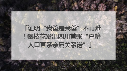 证明“我爸是我爸”不再难！攀枝花发出四川首张“户籍人口直系亲属关系谱”