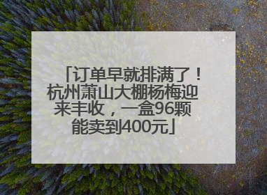订单早就排满了！杭州萧山大棚杨梅迎来丰收，一盒96颗能卖到400元