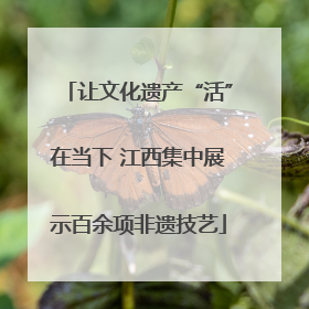 让文化遗产“活”在当下 江西集中展示百余项非遗技艺