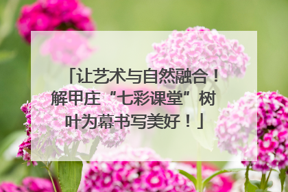 让艺术与自然融合！解甲庄“七彩课堂”树叶为幕书写美好！