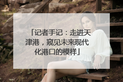 记者手记：走进天津港，窥见未来现代化港口的模样