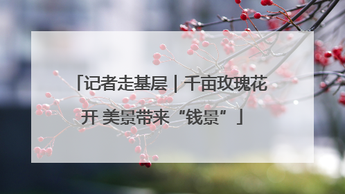 记者走基层｜千亩玫瑰花开 美景带来“钱景”