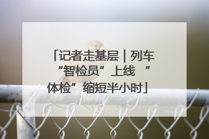记者走基层｜列车“智检员”上线 “体检”缩短半小时