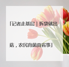 记者走基层｜拆袋就出菇，农民育菌真省事