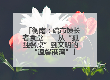 衡南：硫市镇长者食堂——从“孤独餐桌”到文明的“温馨港湾”