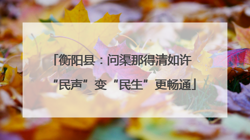 衡阳县：问渠那得清如许 “民声”变“民生”更畅通