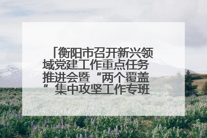 衡阳市召开新兴领域党建工作重点任务推进会暨“两个覆盖”集中攻坚工作专班 第一次会议