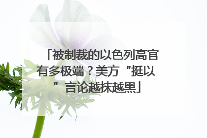 被制裁的以色列高官有多极端？美方“挺以”言论越抹越黑