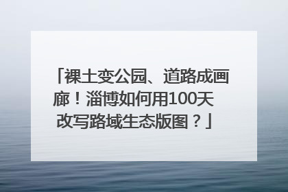 裸土变公园、道路成画廊！淄博如何用100天改写路域生态版图？