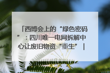 西博会上的“绿色密码”：四川唯一电网拆解中心让废旧物资“重生”｜西博寻“新”记