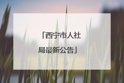 西宁市人社局最新公告