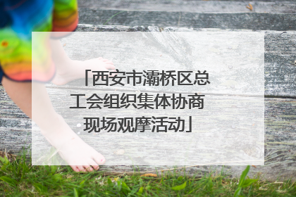 西安市灞桥区总工会组织集体协商现场观摩活动