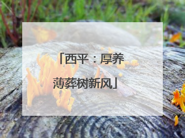 西平：厚养薄葬树新风