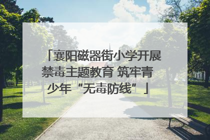 襄阳磁器街小学开展禁毒主题教育 筑牢青少年“无毒防线”