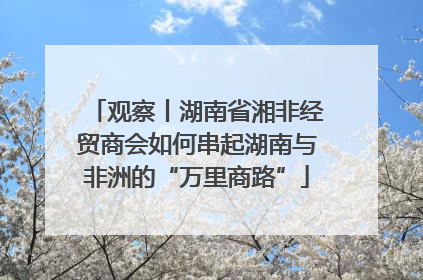观察丨湖南省湘非经贸商会如何串起湖南与非洲的“万里商路”