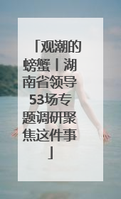 观潮的螃蟹丨湖南省领导53场专题调研聚焦这件事
