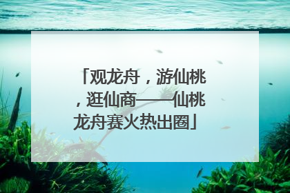 观龙舟，游仙桃，逛仙商——仙桃龙舟赛火热出圈