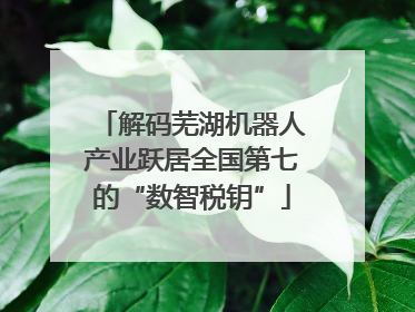 解码芜湖机器人产业跃居全国第七的“数智税钥”