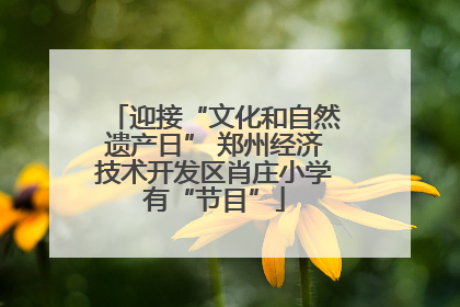 迎接“文化和自然遗产日” 郑州经济技术开发区肖庄小学有“节目”