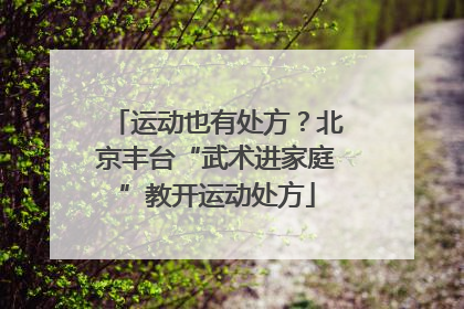 运动也有处方？北京丰台“武术进家庭”教开运动处方