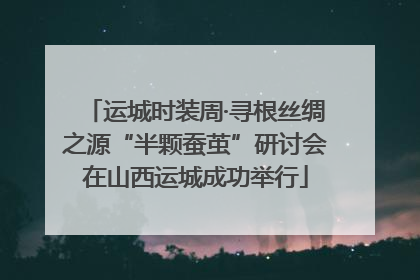 运城时装周·寻根丝绸之源“半颗蚕茧”研讨会在山西运城成功举行